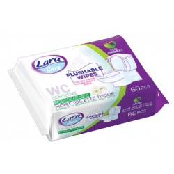 Ubrousky VLHČENÉ - box 60ks / WC, vlhčený TP